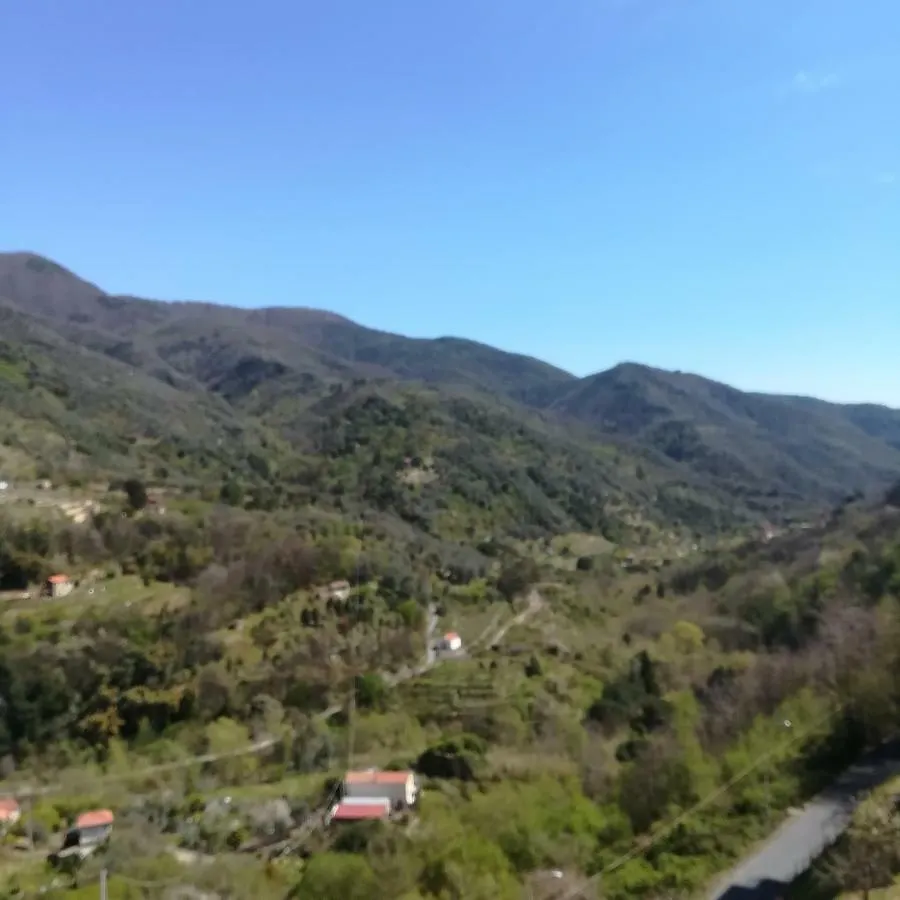 Casa Margherita Appartamento Ceriana