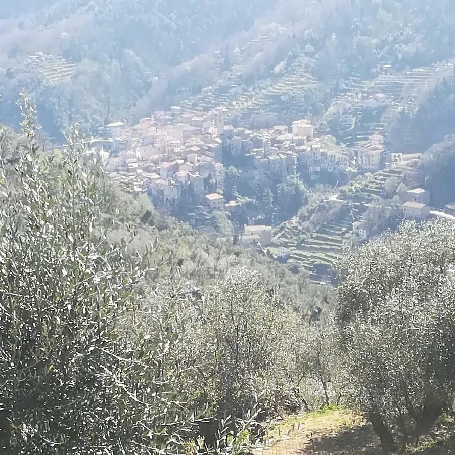 Casa Margherita Appartamento Ceriana